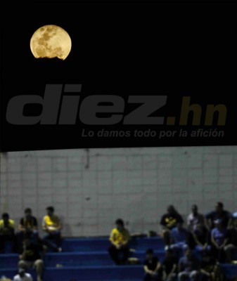 Sangre, abejas, chicas lindas y besos en las fotos curiosas de la fecha 7&nbsp;&nbsp;