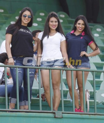 ¡NO VISTE EN TV! La obscena celebración y la belleza femenina en el estadio
