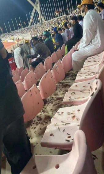 Lo que nadie vio del partido de Cristiano Ronaldo y ya se hizo viral: “Hasta los bichos quieren ver al Bicho... Es demasiado”