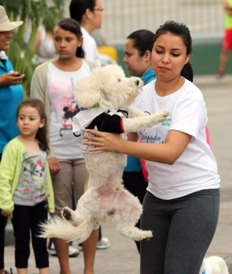 La carrera animalista fue un éxito en Tegucigalpa