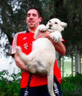 Futbolistas y sus espectaculares fotos con animales salvajes