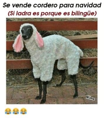 El COVID-19 y el recalentado son protagonistas: Los mejores memes de Navidad 2020