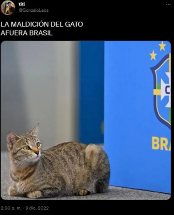 La venganza del michi: memes destrozan a Brasil tras quedar eliminado del Mundial ante Croacia