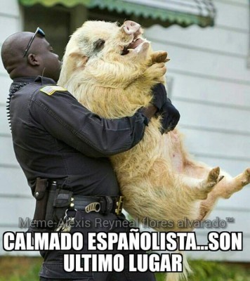 MEMES: No perdonan al Real España en las redes sociales