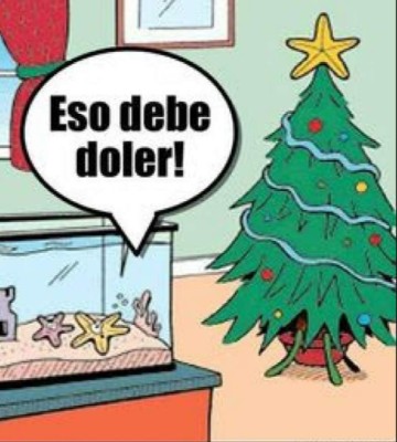 Desde el arbolito hasta lo gordo que puedes estar en enero: Los mejores y divertidos memes de la navidad 2019