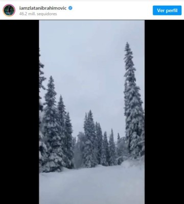 Zlatan Ibrahimovic y su vida de rico: Se compró una isla, un bosque y reveló cuánto dinero tiene