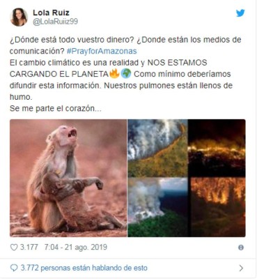 Las fotografías engañosas sobre los incendios que arrasan la Amazonia de Brasil