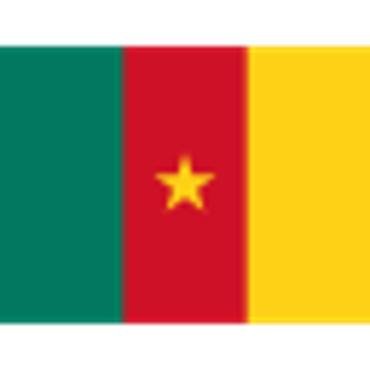 Banderas del Mundial de Qatar