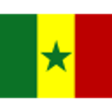 Banderas del Mundial de Qatar