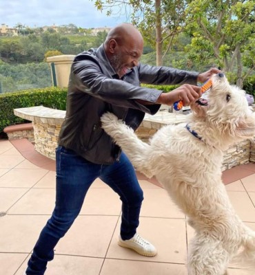 Así es la vida de millonario de Mike Tyson: Su gran negocio de marihuana, mansiones y autos