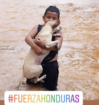 Sorprendentes fotos: Hondureños no abandonan a sus animales durante el desastre provocado por Eta