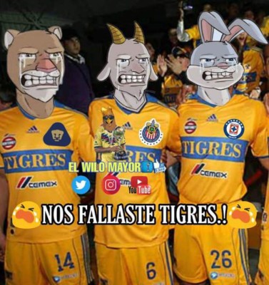 Memes: Despedazan a los Tigres por la eliminación ante el América en la Liga MX