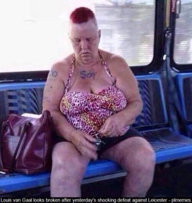 Van Gaal es víctima de memes a la espera de oficializar su adiós de Manchester United