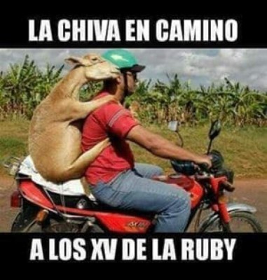 ¡QUÉ CRUELES! Los memes hacen de las suyas en la fiesta de los XV de Rubí