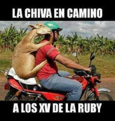 ¡QUÉ CRUELES! Los memes hacen de las suyas en la fiesta de los XV de Rubí