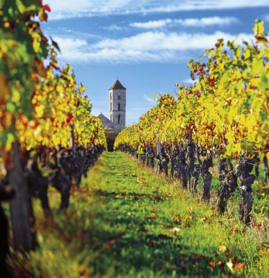 La 10 curiosidades que no conocías de Burdeos, la nueva ciudad y casa de Alberth Elis en Francia