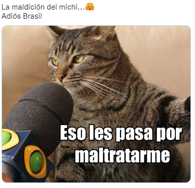 La venganza del michi: memes destrozan a Brasil tras quedar eliminado del Mundial ante Croacia