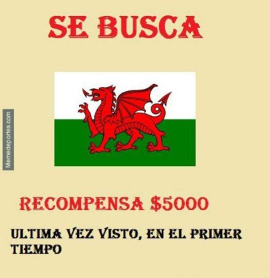 Los mejores memes del pase de Cristiano Ronaldo y Portugal a la final de la Eurocopa