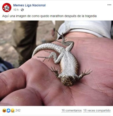 Los memes que generó el fichaje de Yustin Arboleda con Olimpia para el Clausura