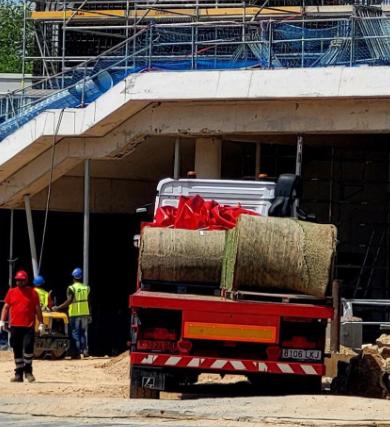 Barcelona dio un paso grande: el césped se instala en el nuevo Camp Nou y así va quedando el mejor estadio del mundo