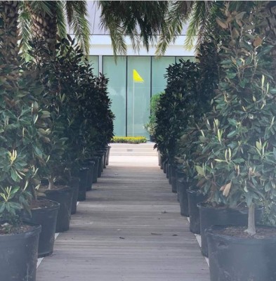 La mansión de 47 millones donde pasa la cuarentena Tiger Woods en Florida