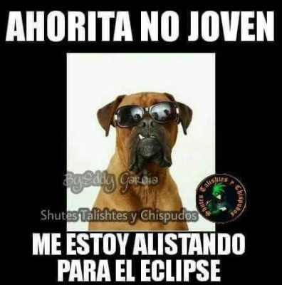 Los divertidos memes del 'gran eclipse americano'