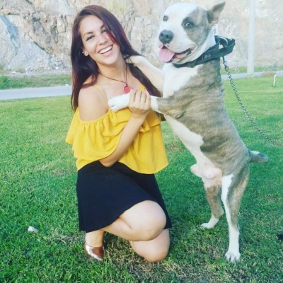 Las bellas periodistas deportivas que enamoran en la televisión hondureña