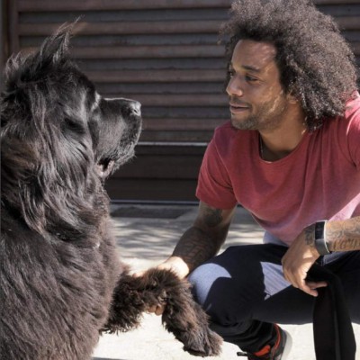 ¡Mascotas! Los mejores amigos de los deportistas por el mundo