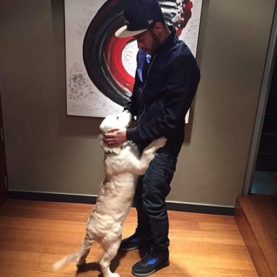 Los espectaculares perros de los futbolistas en el #DíaDelPerro