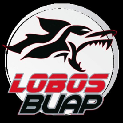 Las casas de apuestas dueñas y patrocinadoras de los equipos de la Liga MX