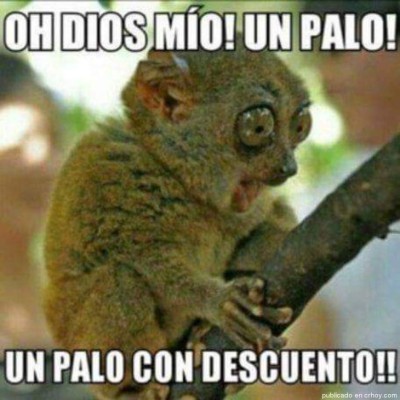 ¡Para morir de risa! Los divertidos memes que dejó el Black Friday alrededor del mundo