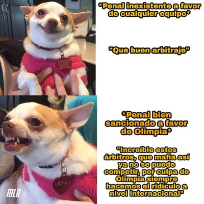 Los crueles memes que dejó la jornada 17 del torneo Apertura donde no se salva nadie