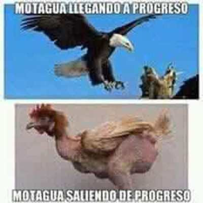 ¡A Motagua lo destruyen con los infaltables memes!