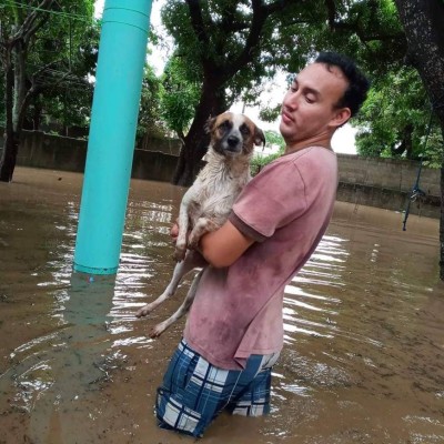 Sorprendentes fotos: Hondureños no abandonan a sus animales durante el desastre provocado por Eta