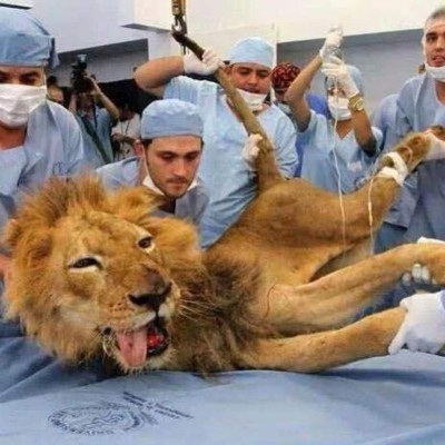 ¡Terribles! Los memes aniquilan a Olimpia, pero Motagua tampoco se salva