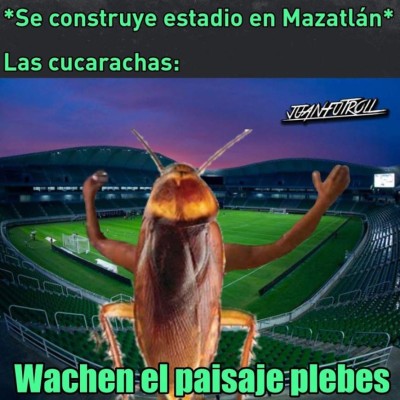 Hasta cucarachas: Los memes destrozan al Mazatlán tras su amargo debut en la Liga MX