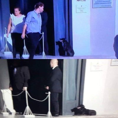 Lágrimas y aplausos: Así se despidieron de Emiliano Sala en Argentina