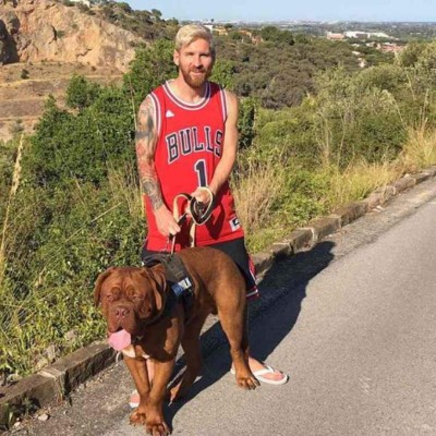 La impresionante transformación de 'Hulk', el perro de Lionel Messi