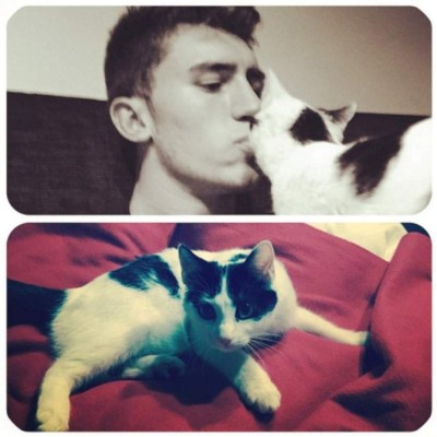 Caso Sturridge: Los futbolistas y su amor a las mascotas; perros, gatos y hasta un cerdito