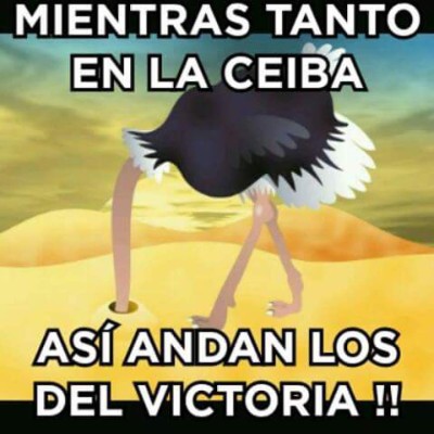 El descenso no pasa de moda en los 'memes' luego de la jornada 7