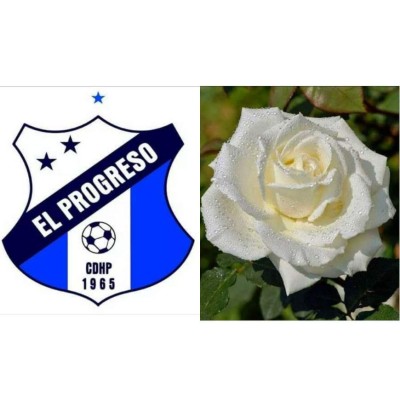 Los memes continúan liquidando a Motagua y Diego Vázquez tras finalizar el Clausura 2020