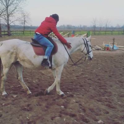 ¡Todavía no está retirado! Así es la vida del hondureño Luis Ramos en Hungría