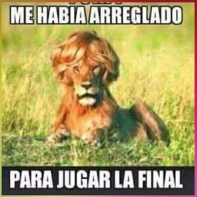 ¡Crueles memes contra Olimpia después del fracaso de quedar fuera de la Final!