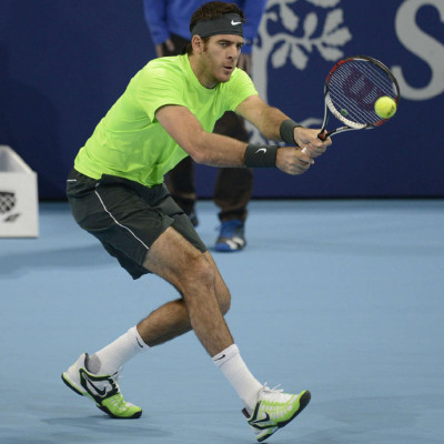 Del Potro se consagró venciendo a Federer en Basilea.