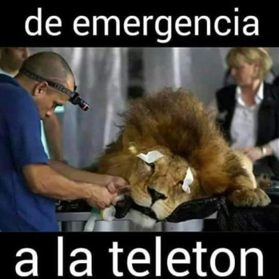 ¡Se comen al León! Los memes destrozan a Olimpia en el arranque de la Pentagonal