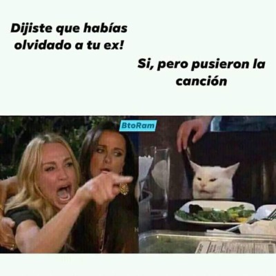 Los mejores memes del gato en la mesa y la mujer gritando, los equipos de Honduras no se salvan