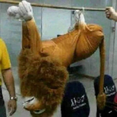 Los mejores MEMES de la derrota del Olimpia ante el Honduras Progreso