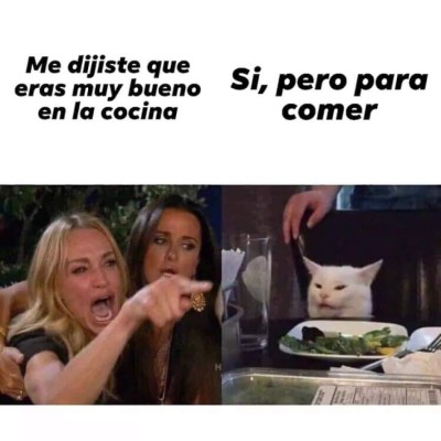 Los mejores memes del gato en la mesa y la mujer gritando, los equipos de Honduras no se salvan