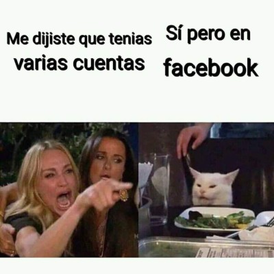 Los mejores memes del gato en la mesa y la mujer gritando, los equipos de Honduras no se salvan