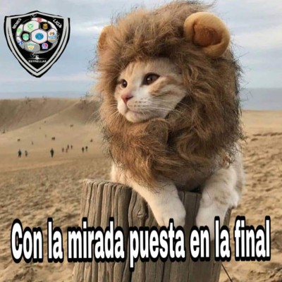 Crueles memes contra Olimpia previo a la final del domingo ante Motagua